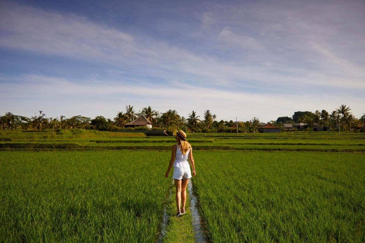 Element Bali Ubud Bagian luar foto