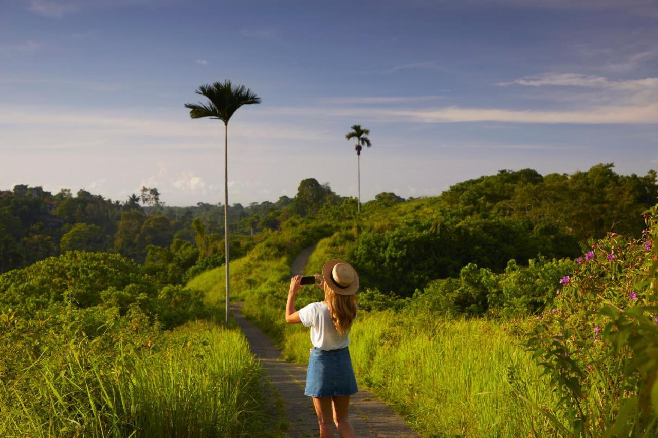 Element Bali Ubud Bagian luar foto